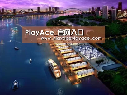案例展示八