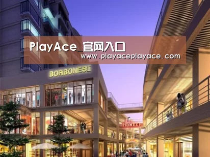 案例展示一